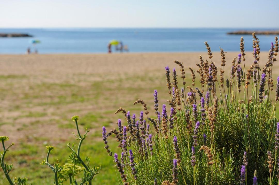 Casa Del Dorado Playa Cambrils Villa Kültér fotó
